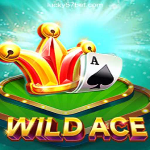 Exploring WildAce: The Premier Online Casino Game